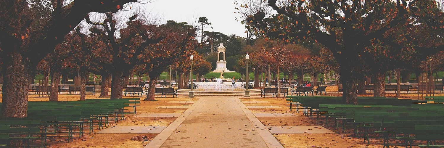 Golden Gate Park: San Francisco’nun Doğa ve Kültür Alanı