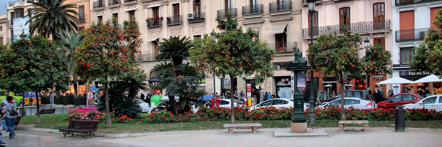 Plaza de la Reina: Valencia’nın Canlı Meydanı
