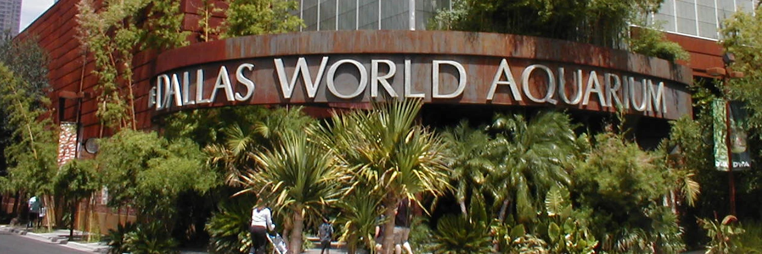 Dallas’ta Su Altı Cenneti: World Aquarium Deneyimi
