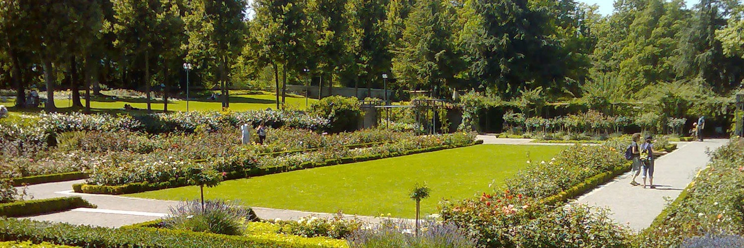 Rosengarten: Bern’in En Güzel Manzarası