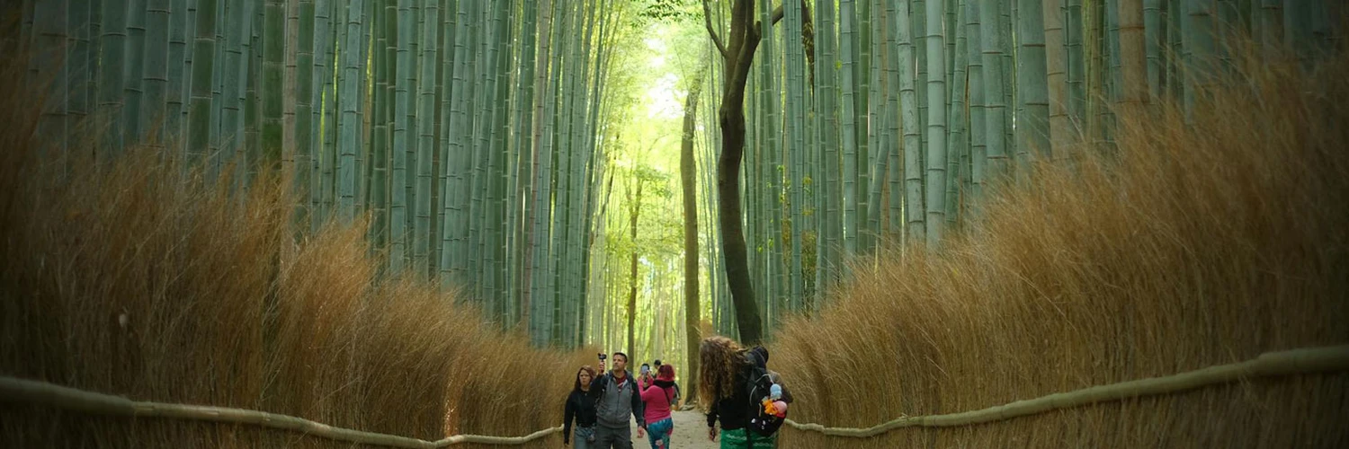 Arashiyama Sagano Bambu Ormanı: Doğanın Sesi