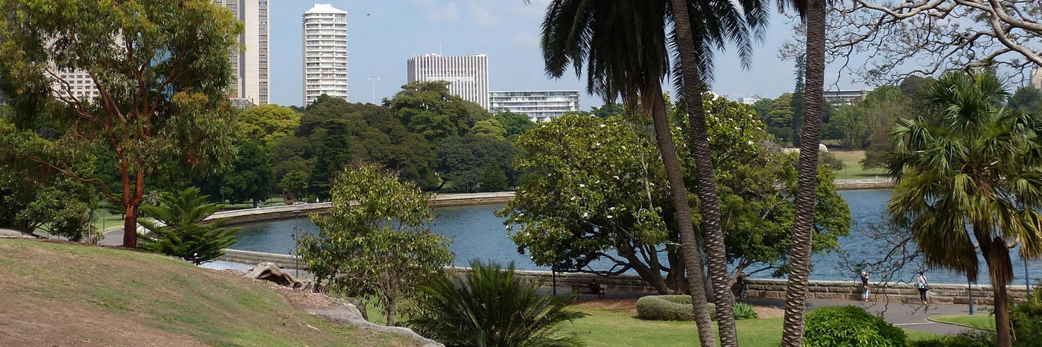Sydney’in Yeşil Kalbi: Botanik Bahçe