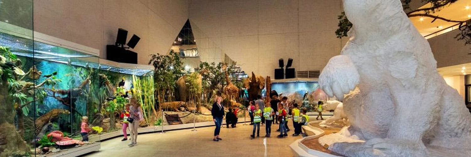 Moskova’da Bilim Müzesi: Darwin State Museum