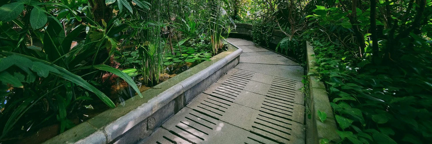 Brisbane City Botanic Gardens Keşfi