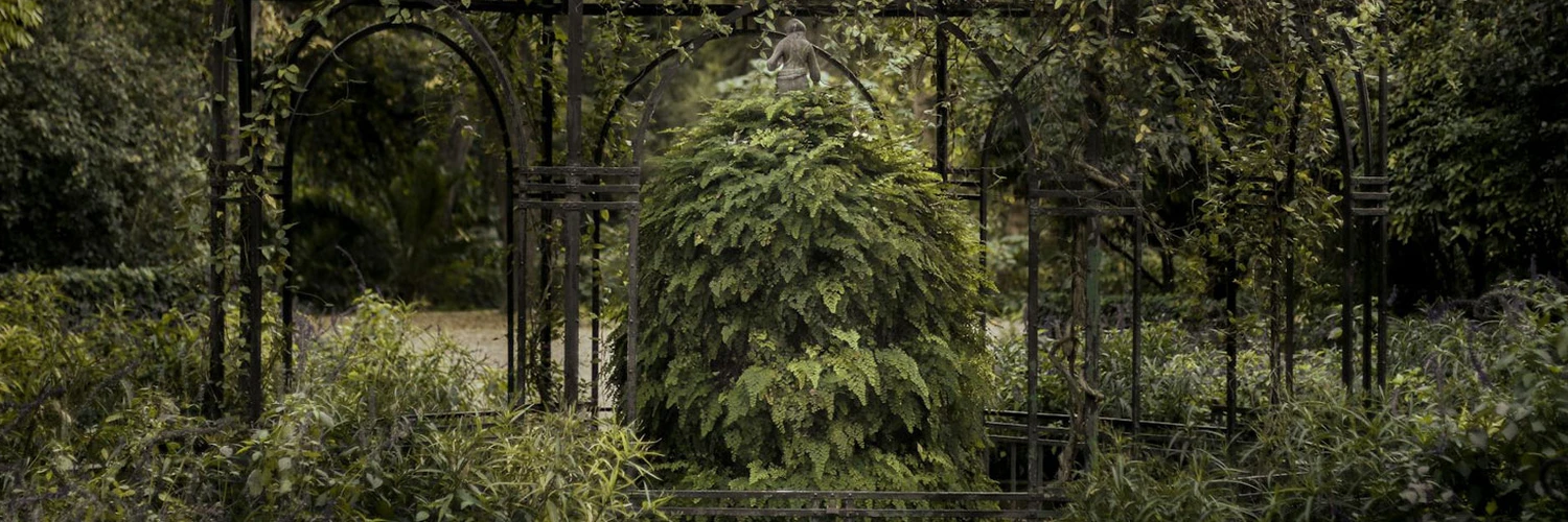 National Garden of Athens: Şehrin Yeşil Kalbi