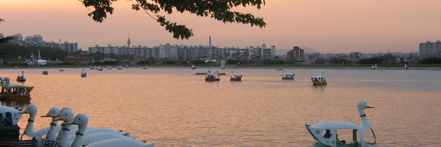 Daegu’da Doğa ve Şehir: Suseong Gölü