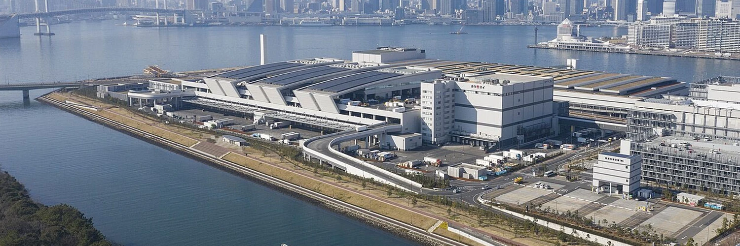 Toyosu Market: Tokyo’nun Modern Balık Pazarı