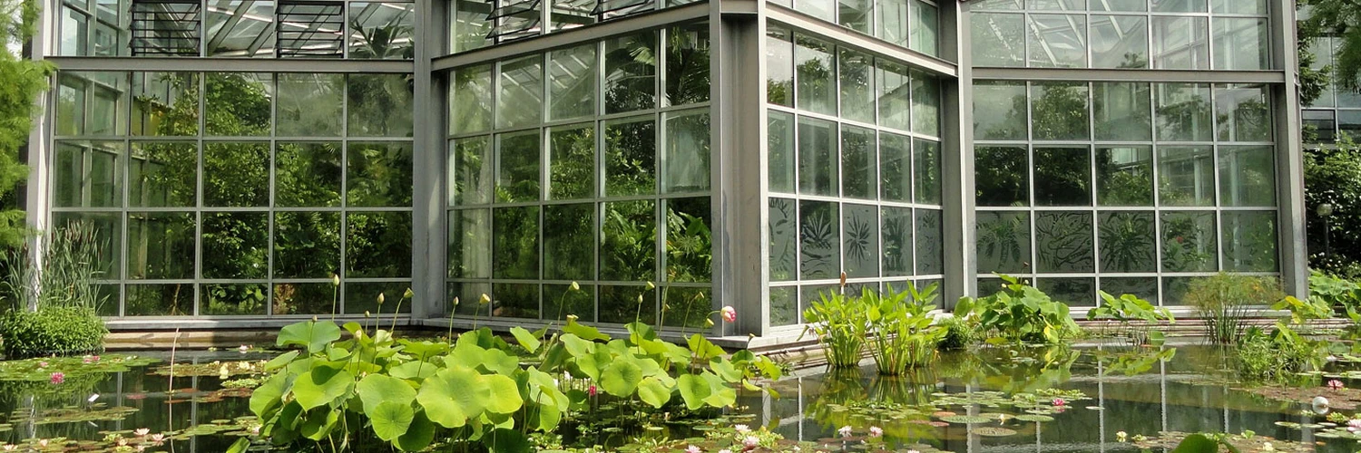 Palmengarten: Frankfurt’un Yeşil Cenneti