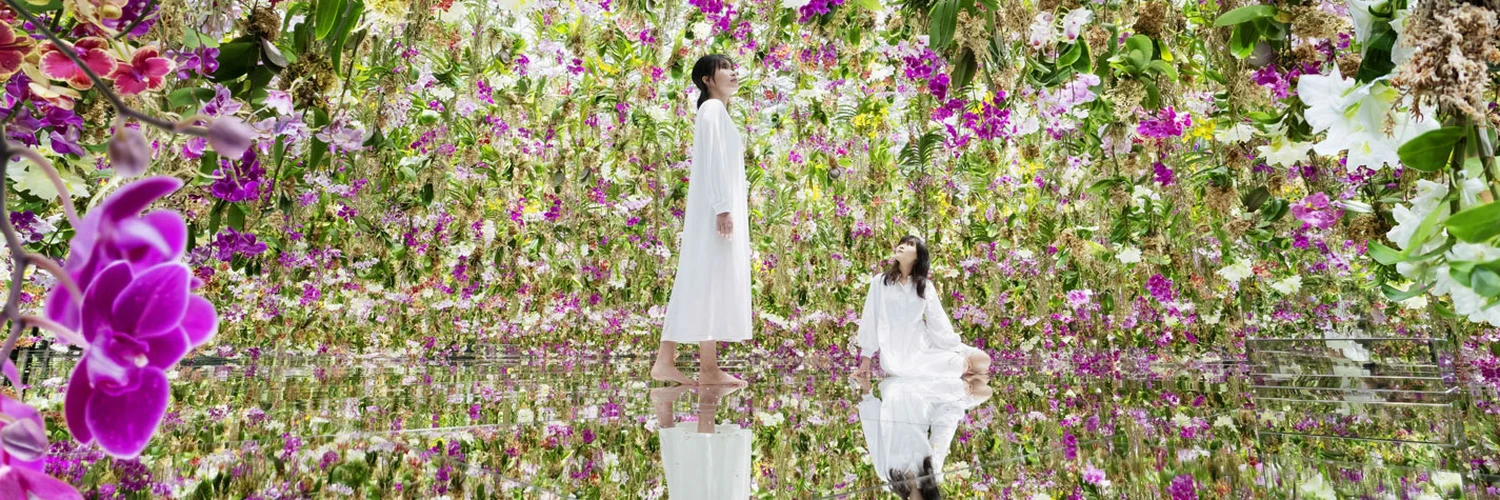 teamLab Planets: Sürükleyici Sanat Deneyimi
