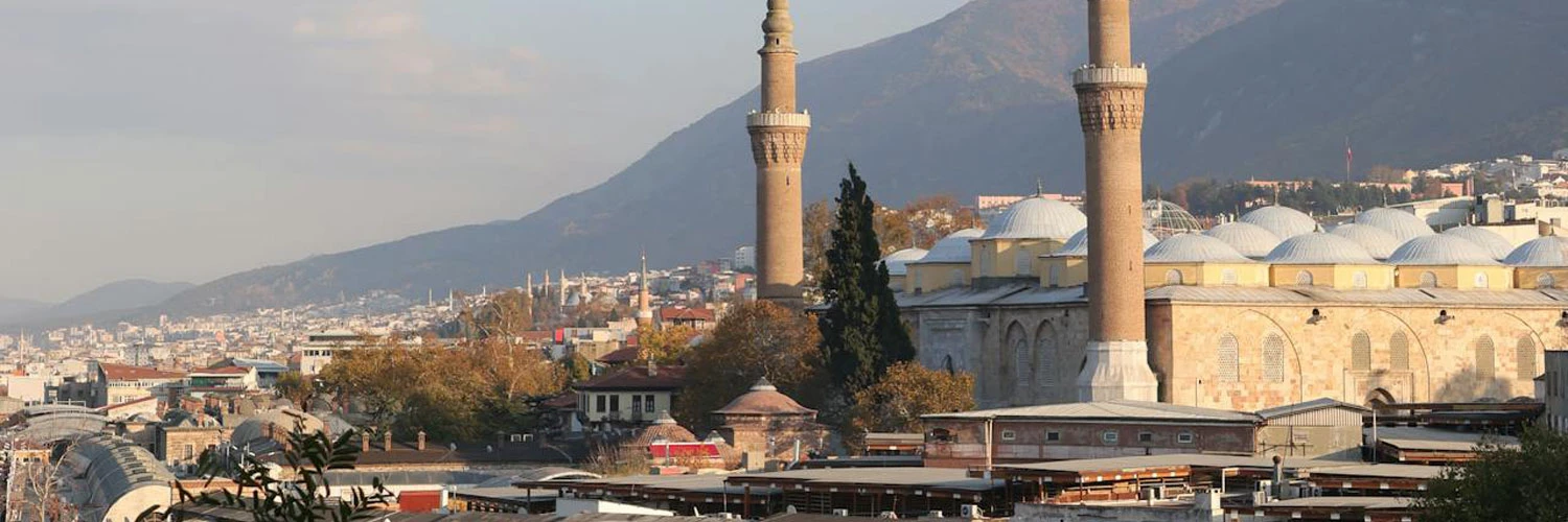 Bursa