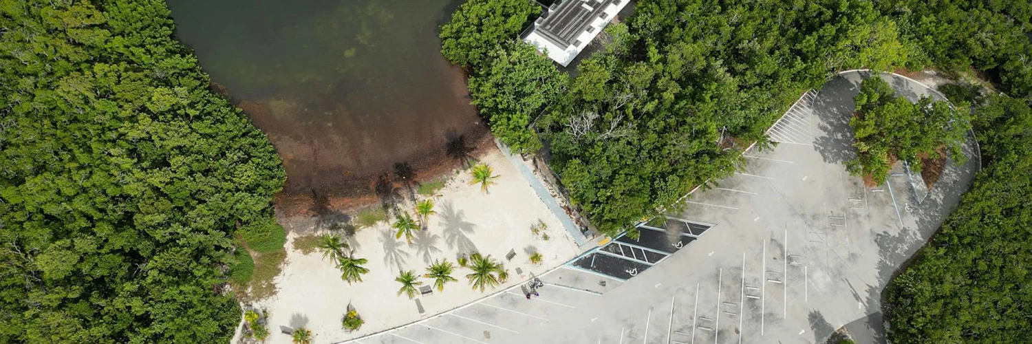 Everglades Millî Parkı Gezisi: Vahşi Yaşam ve Deneyim