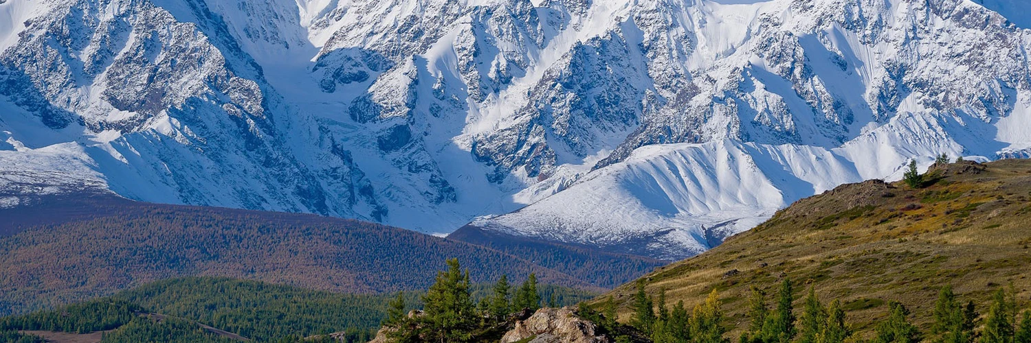 Altay