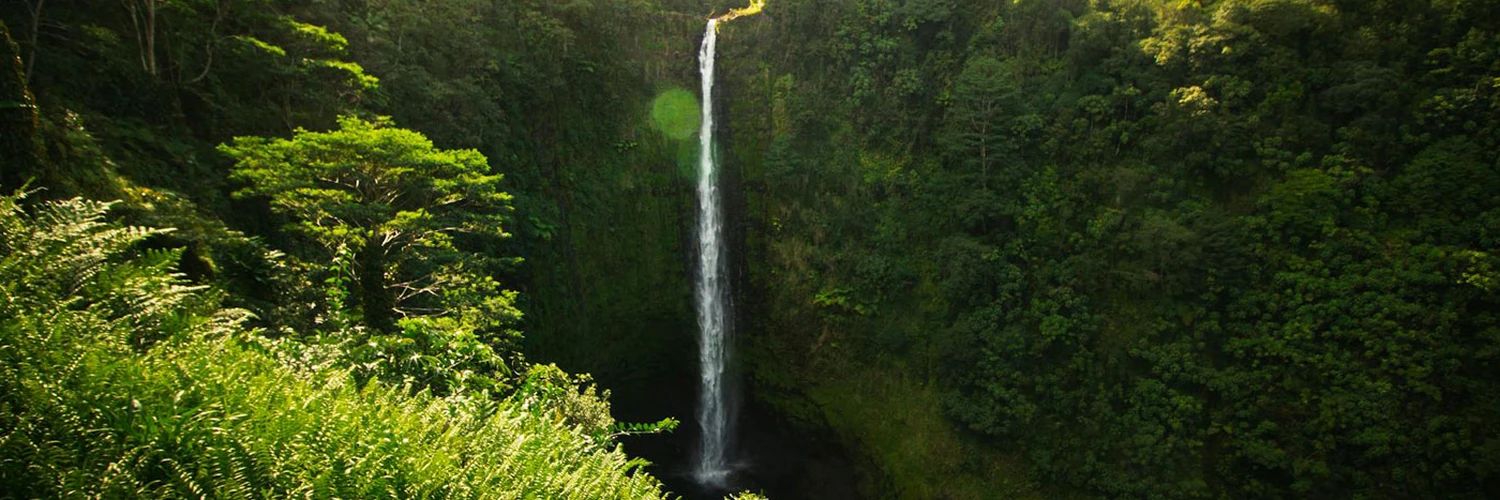 Akaka Falls: Hawaii’nin En İkonik Şelalelerinden