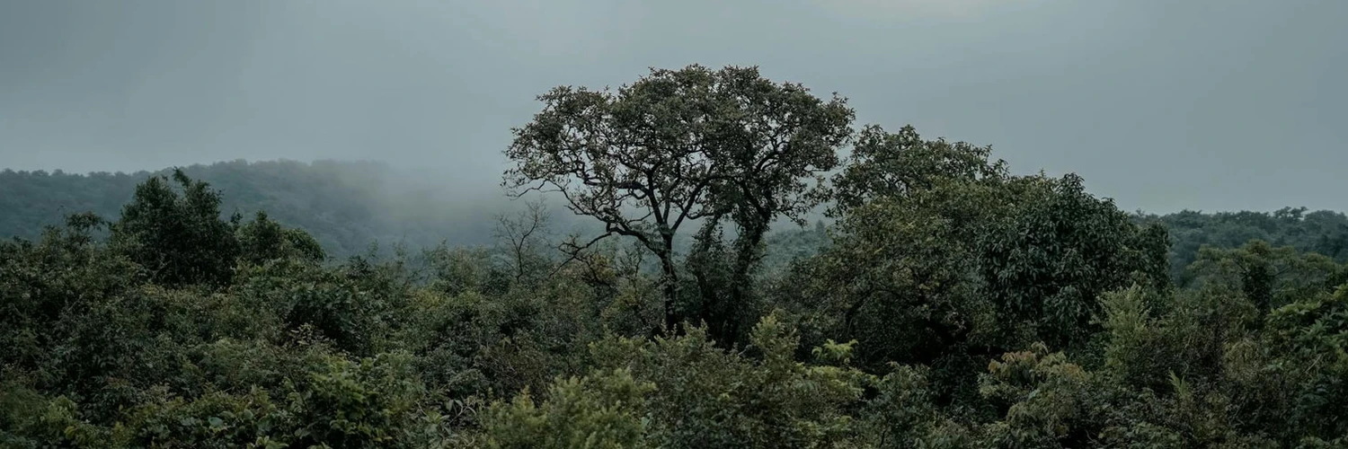 Kolhapur