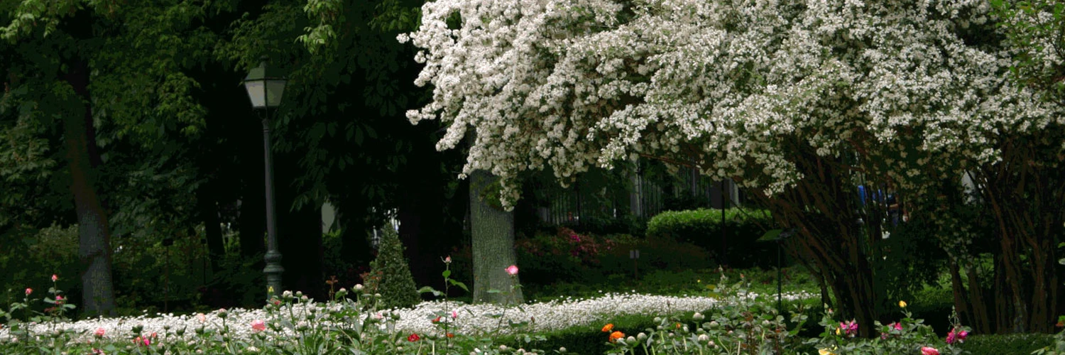 Real Jardín Botánico: Madrid’in Botanik Bahçesi