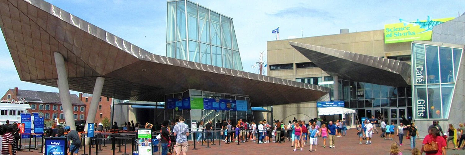 New England Aquarium: Balıklar ve Deniz Dünyası