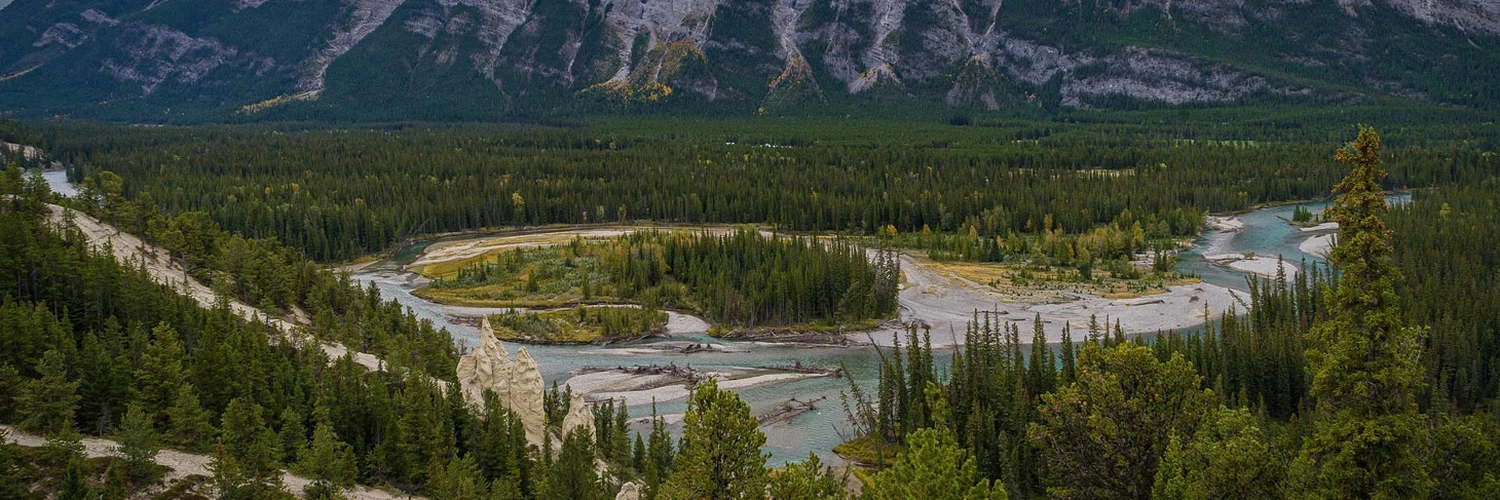 Bow River: Calgary’nin Doğa Rotası
