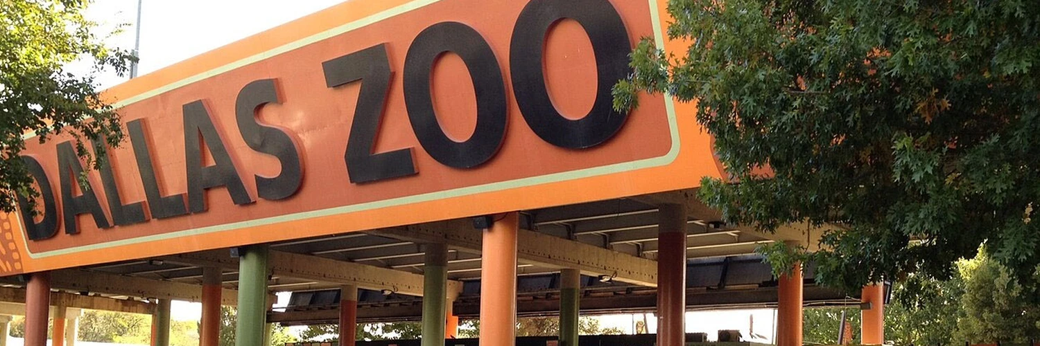 Dallas Zoo: Şehrin Vahşi Doğa Merkezi