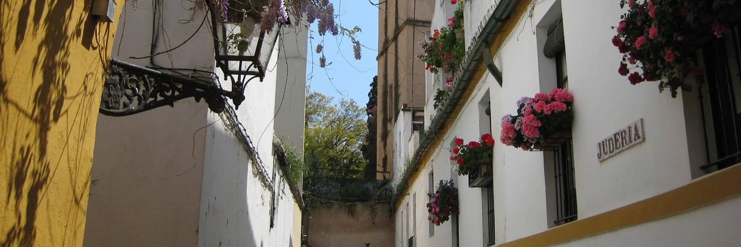 Barrio de Santa Cruz: Sevilla’nın Eski Mahallesi