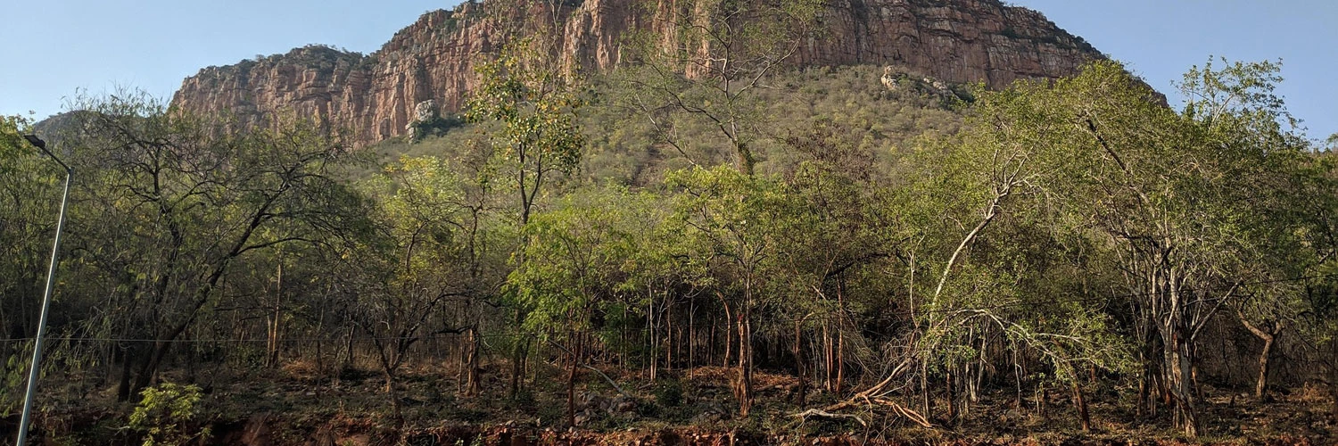 Tirupati