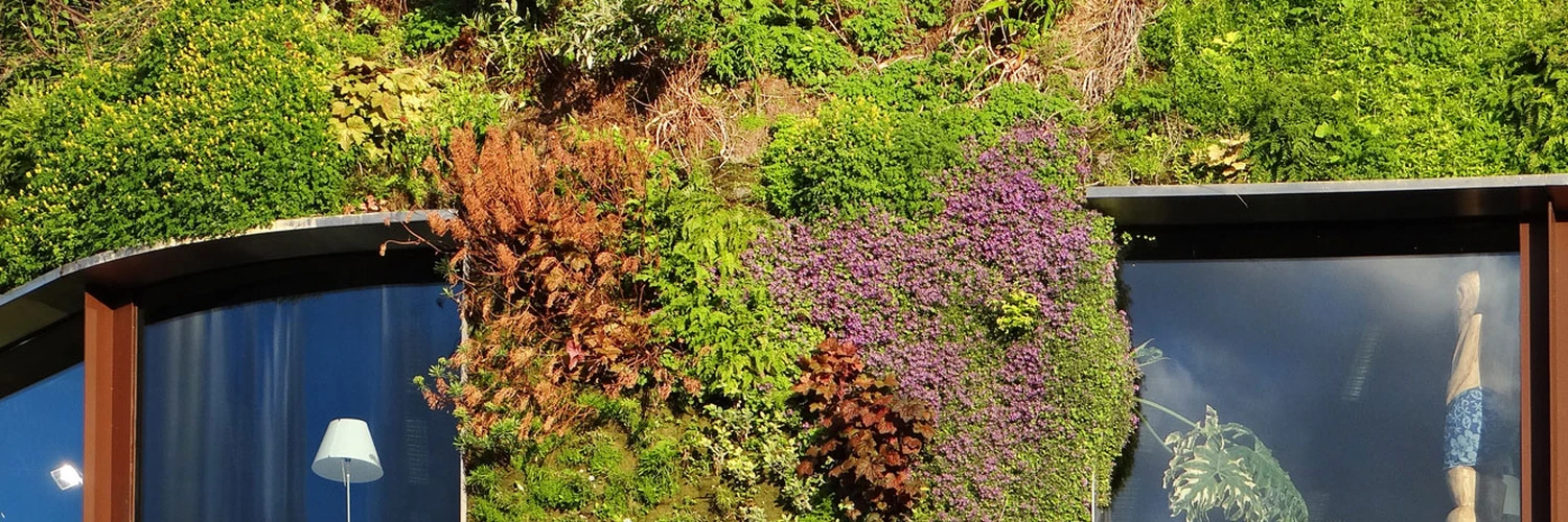 Quai Branly Müzesi: Paris’te Kültürel Bir Keşif