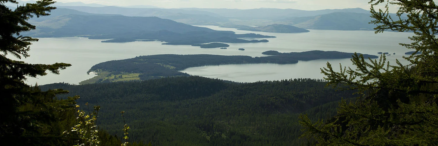 Wild Horse Island: Montana’da Vahşi At Cenneti