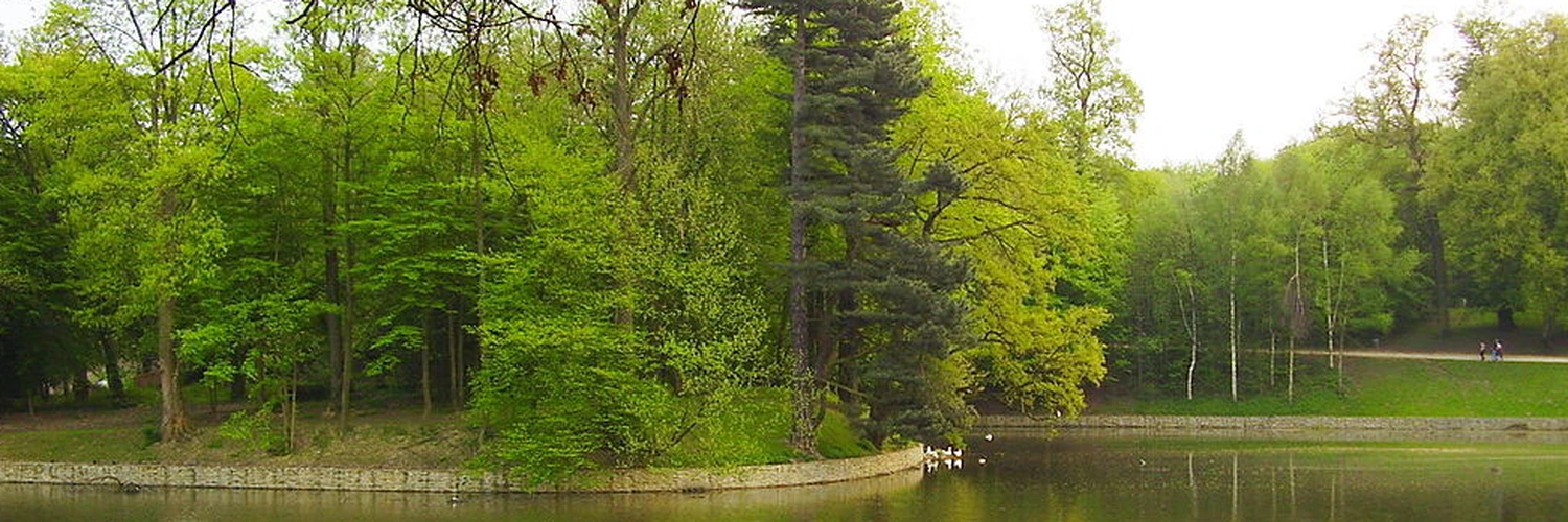 Brüksel’de Doğayla Buluşma: Bois de la Cambre