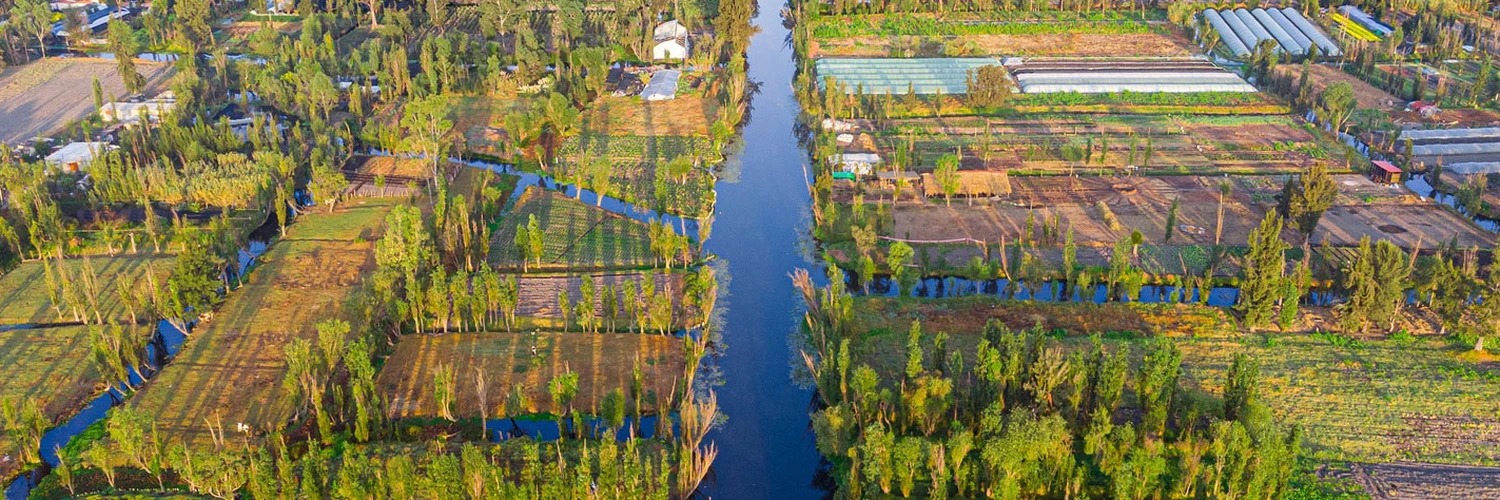 Xochimilco: Mexico City’nin Renkli Kanalları