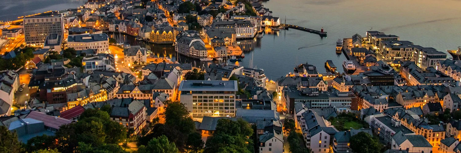 Norveç
