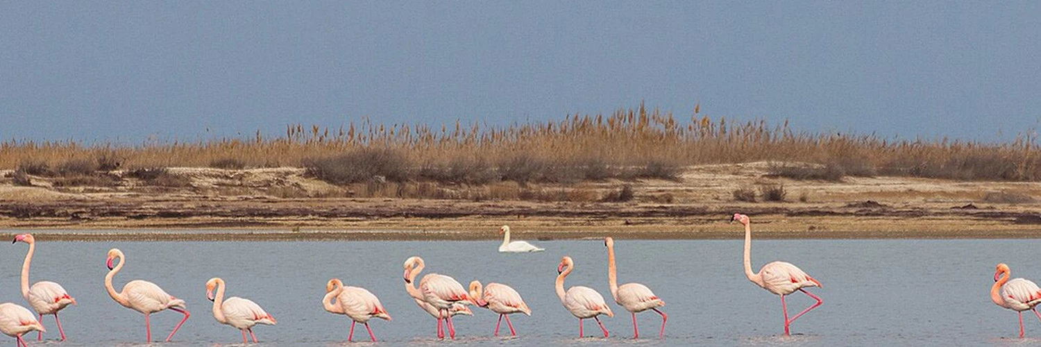 Absheron National Park: Bakü’de Doğa ve Keşif Rotası