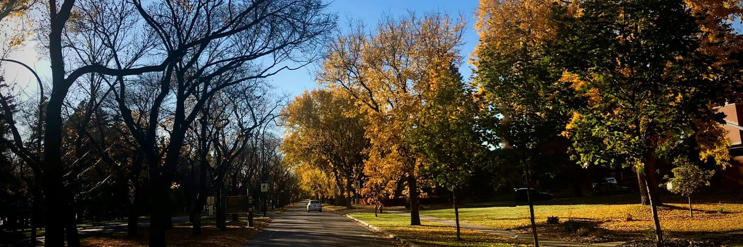 Lethbridge