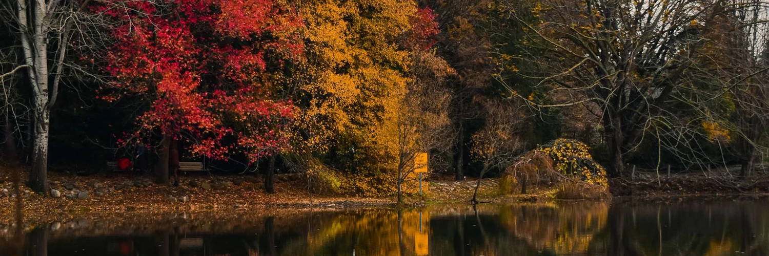 Atatürk Arboretumu’nda Huzurlu Bir Gün