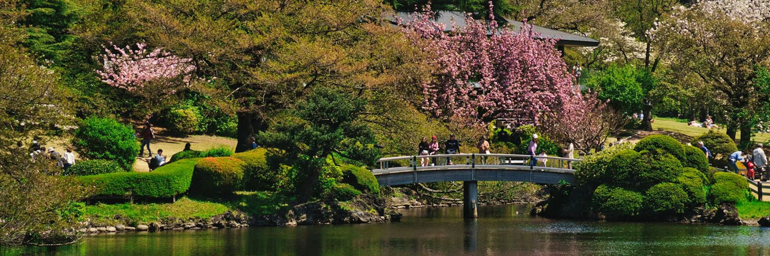 Shinjuku Gyoen: Tokyo’nun En Güzel Bahçesi