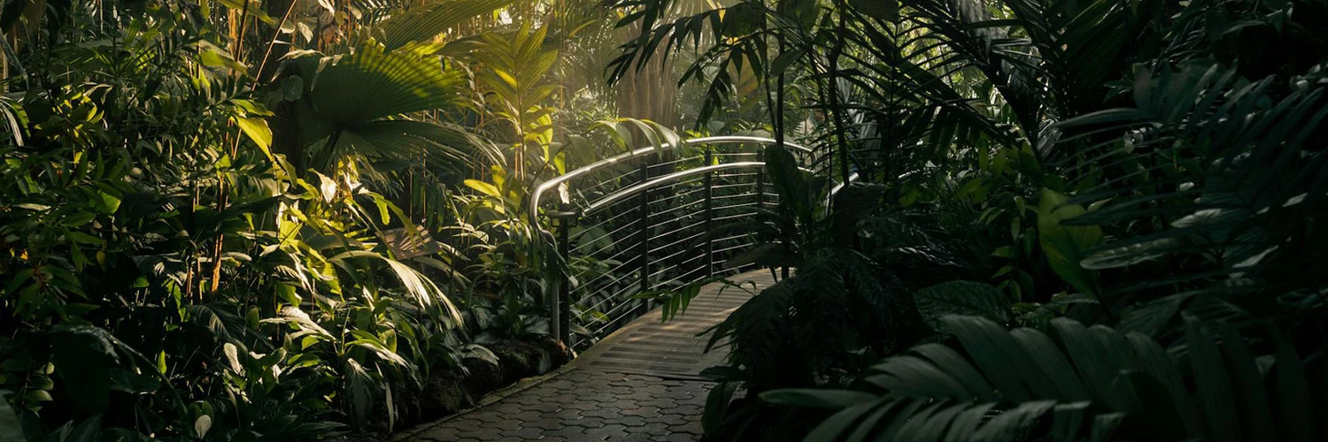 Atlanta Botanical Garden: Doğanın Kalbindeki Cennet