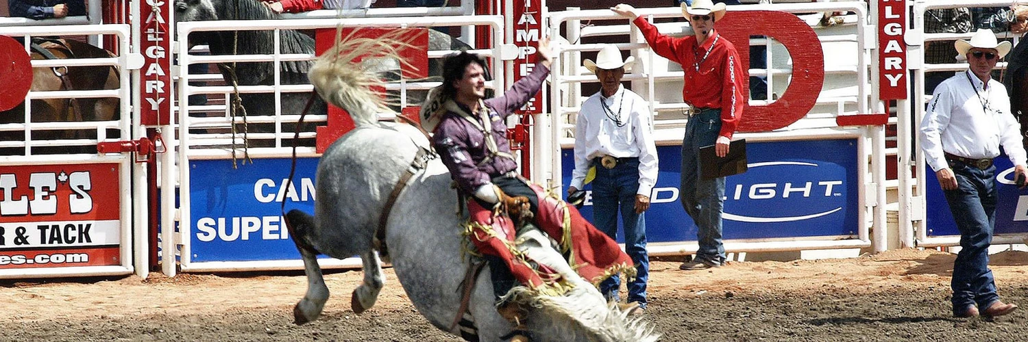 Calgary Stampede: Kovboy Festivali