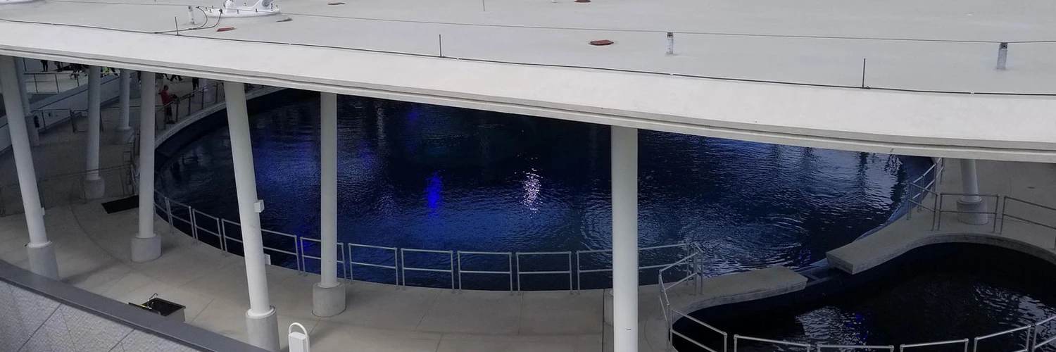 Miami Frost Sanat Müzesi Ziyaret Deneyimi