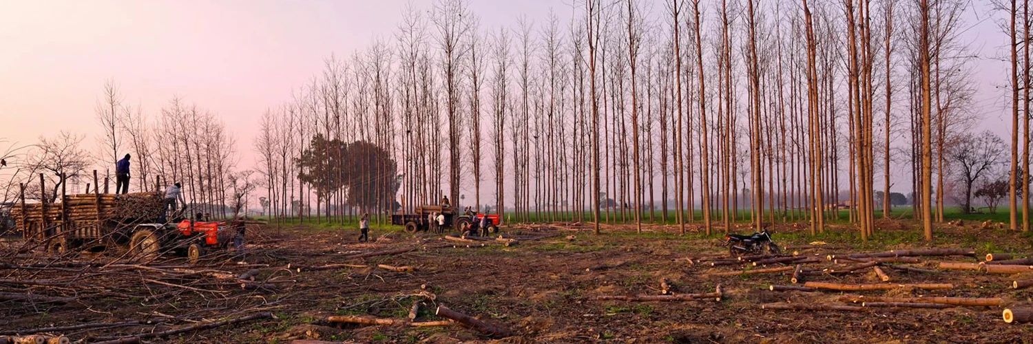 Ludhiana