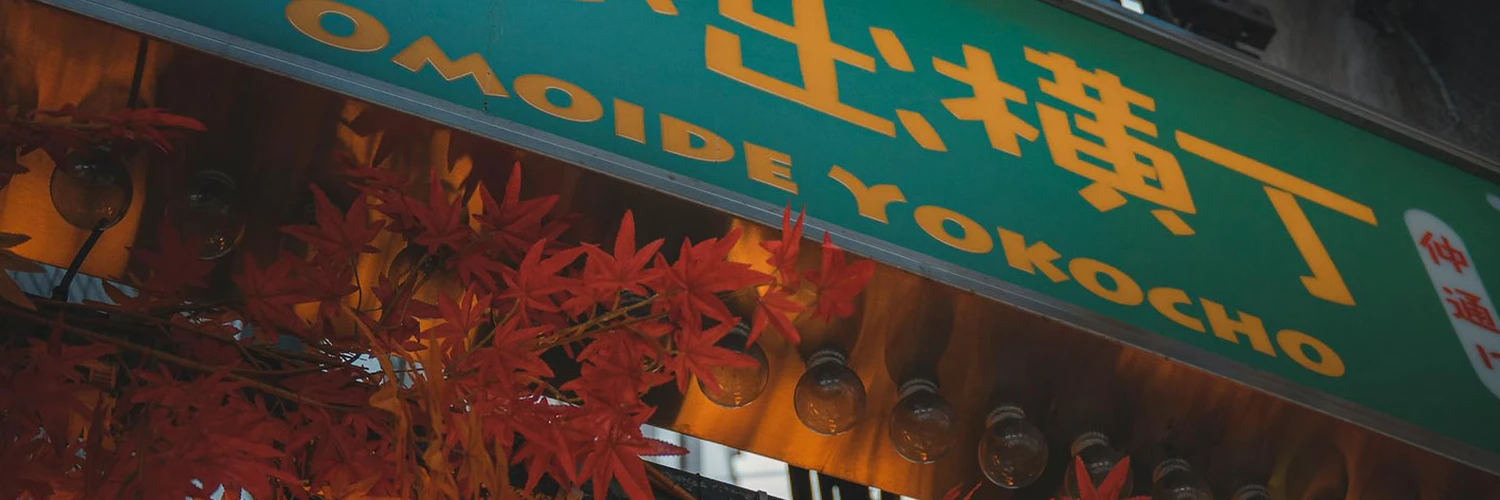 Omoide Yokocho: Tokyo’nun Nostaljik Sokağı