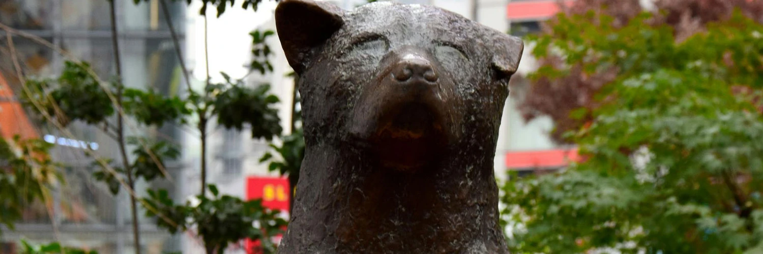 Hachiko Heykeli: Sadakatin Simgesi