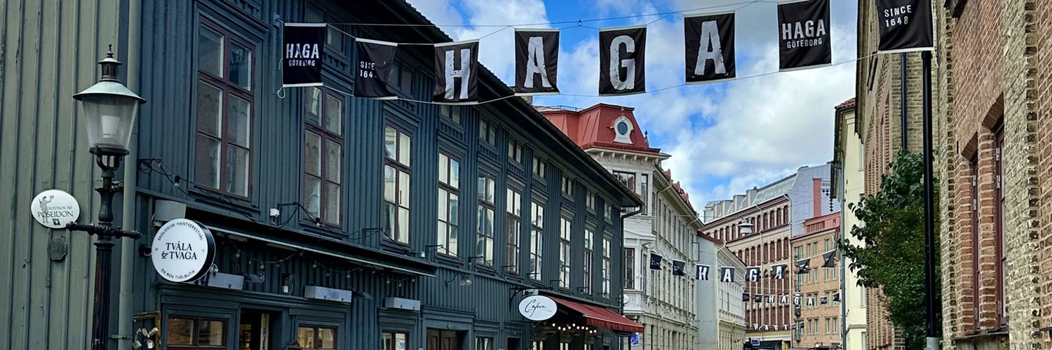 Haga Nygata: Göteborg’un Tarihi Sokağı