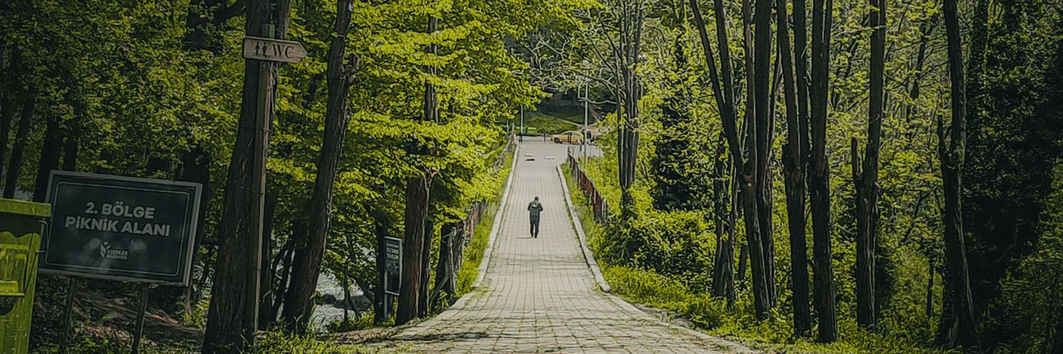 İstanbul’un Yeşil Hazinesi: Belgrad Ormanı