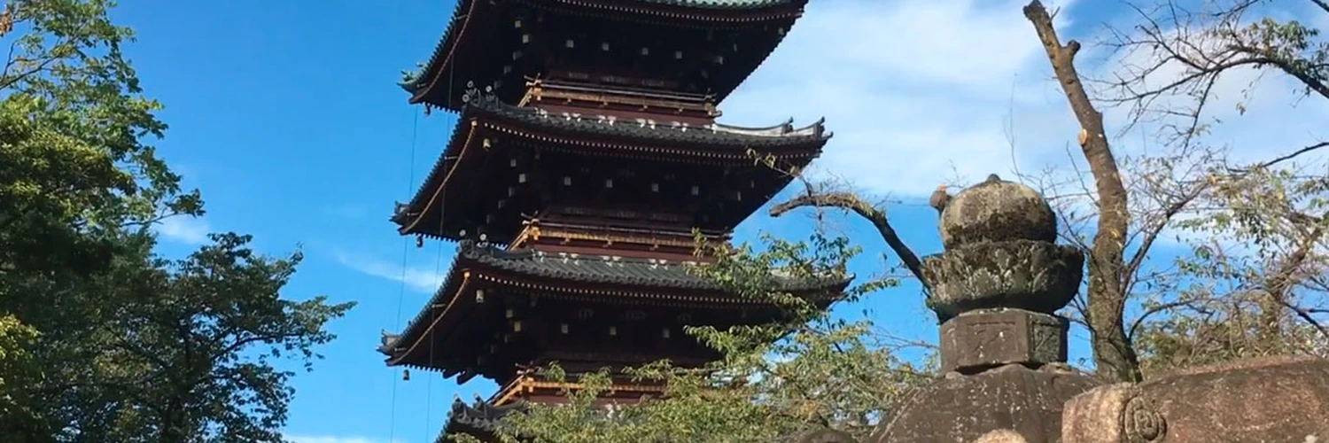Kaneiji Tapınağı: Tokyo’nun Tarihi Budist Tapınağı