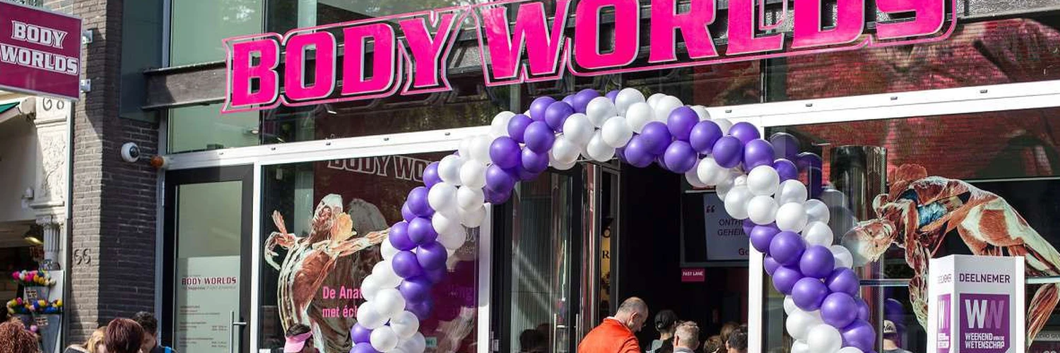 Body Worlds: İnsan Anatomisini Yakından Görün