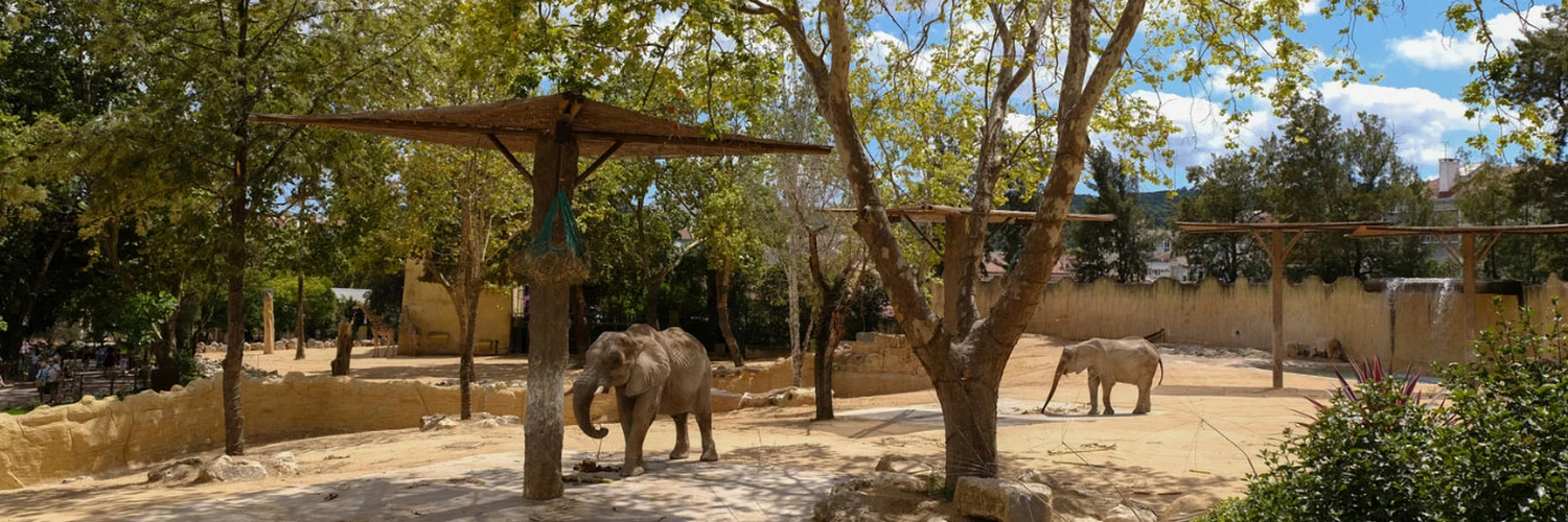 Jardim Zoológico: Lizbon Hayvanat Bahçesi