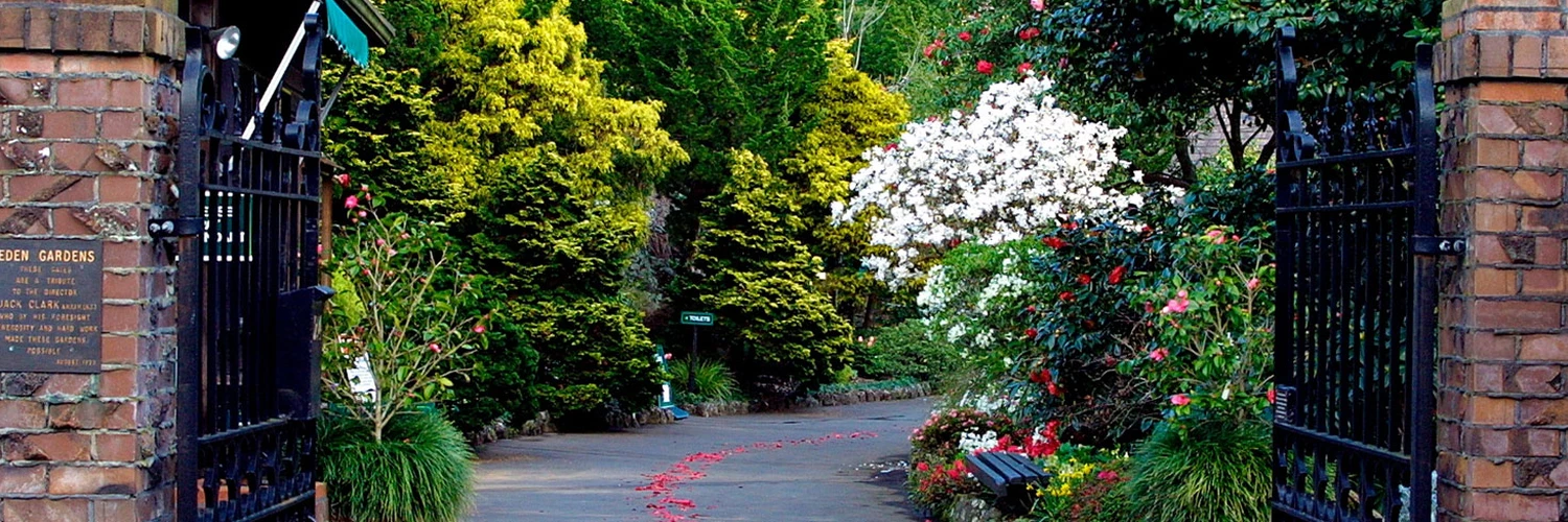 Auckland’da Görülmesi Gereken: Eden Garden