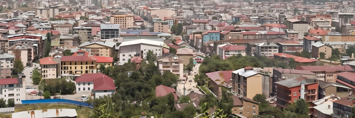 Muş