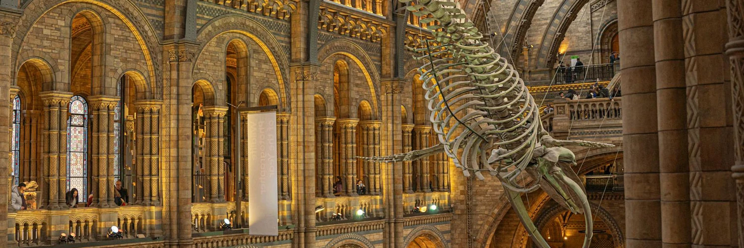 Natural History Museum: Londra’nın Doğa Tarihi Müzesi