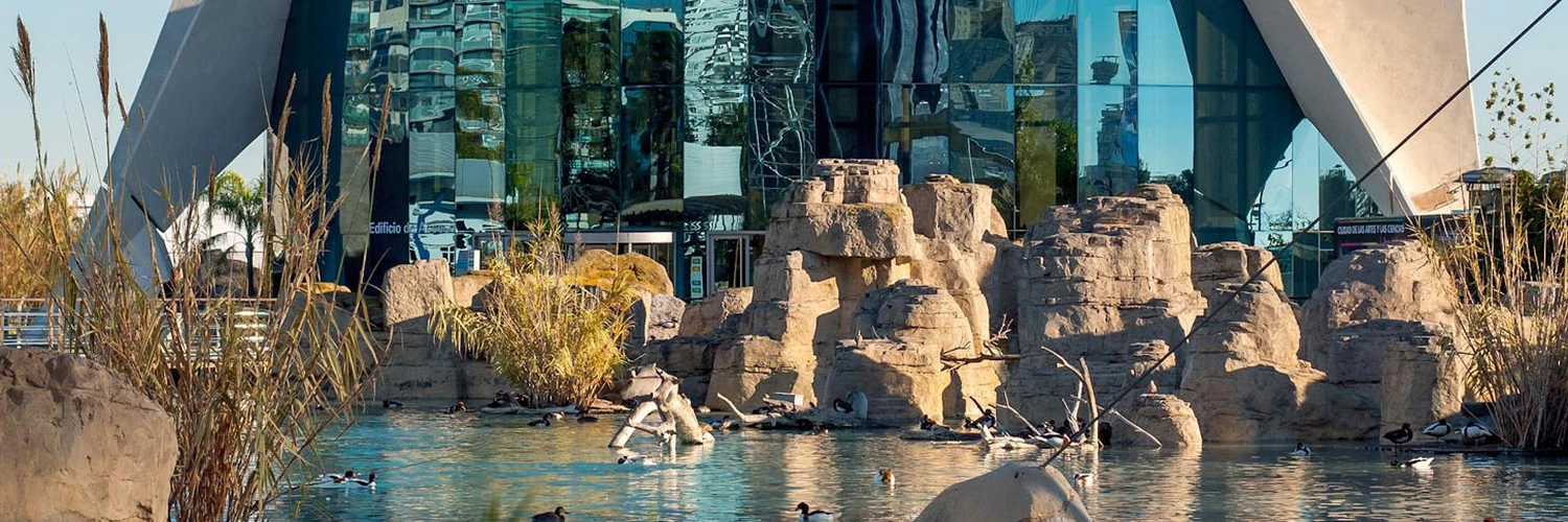 L’Oceanogràfic: Avrupa’nın En Büyük Akvaryumu