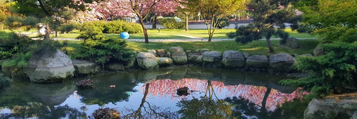 İstanbul’da Japon Esintisi: İBB Japon Bahçesi