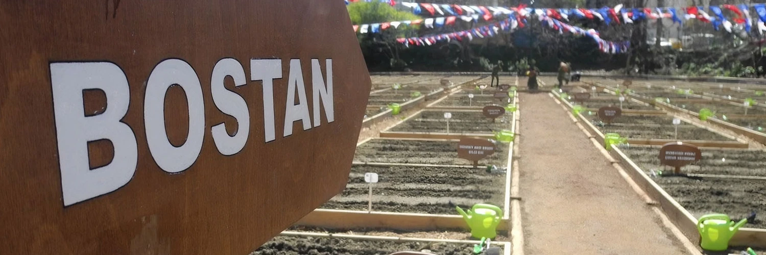 Üsküdar’ın Renkli Bahçesi: Kuzguncuk Bostanı